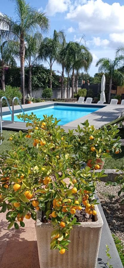 Le Stanze Dei Colori Hotel Aci Bonaccorsi Ngoại thất bức ảnh